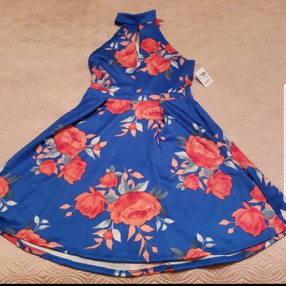 Skater Dress - Picture 1 of 3